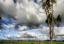 比利时迎战白俄罗斯，必须稳住局势