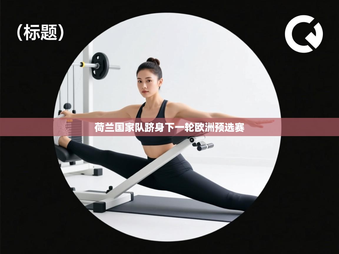 荷兰国家队跻身下一轮欧洲预选赛