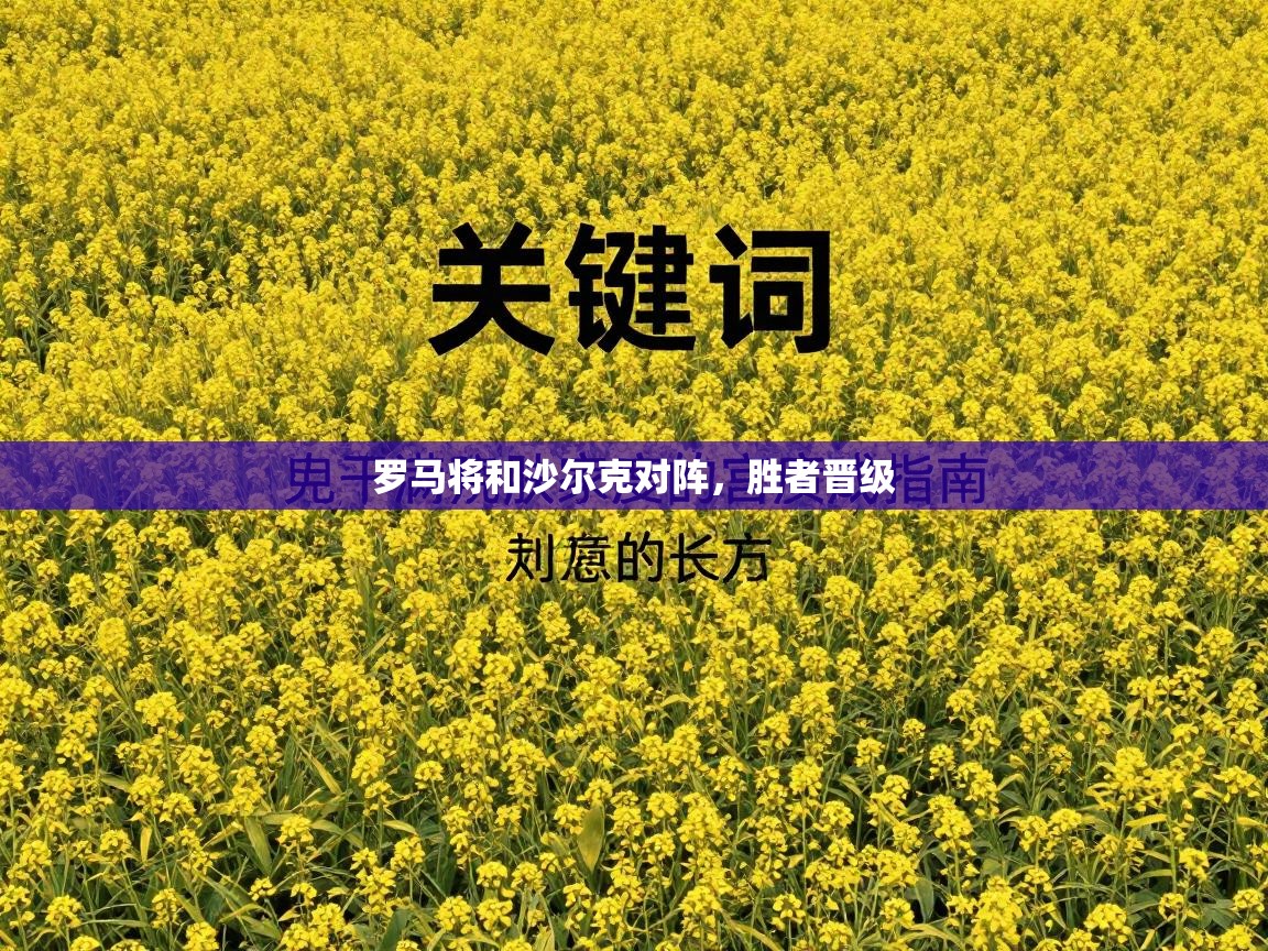 罗马将和沙尔克对阵，胜者晋级